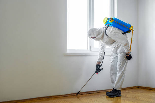 Best Bed Bug Extermination  in Dover Base Housing, DE