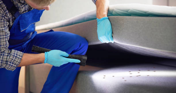 Best Rat Extermination Near Me  in Dover Base Housing, DE