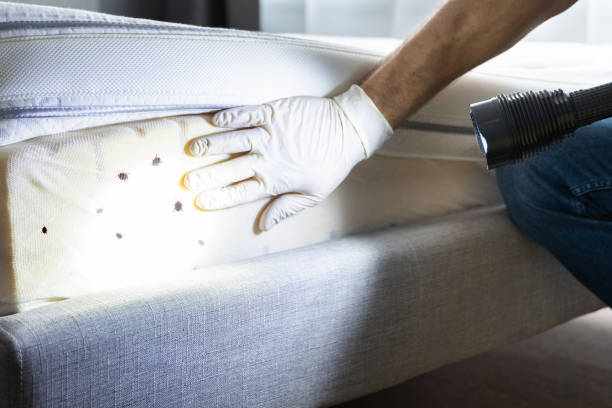 Best Exterminator Services  in Dover Base Housing, DE